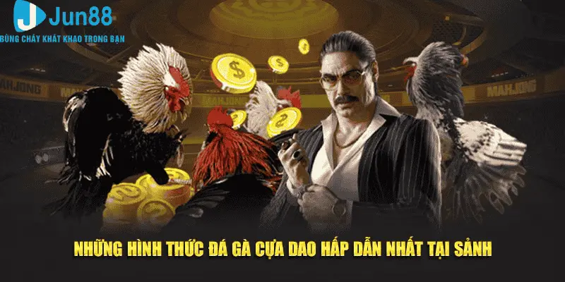 Đá Gà Cựa Dao Tại Jun88 Tìm Hiểu 3 Tuyệt Kỹ Giúp Bạn Hốt Bạc 2 Những hình thức đá gà cựa dao hấp dẫn nhất tại sảnh