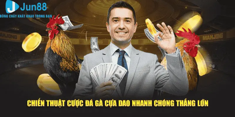 Đá Gà Cựa Dao Tại Jun88 Tìm Hiểu 3 Tuyệt Kỹ Giúp Bạn Hốt Bạc 3 Chiến thuật cược đá gà cựa dao nhanh thắng lớn