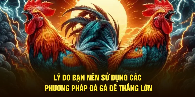 Mẹo Đá Gà Thắng Lớn, Bách Chiến Bách Thắng Tại Trang Chủ Jun88 1 Lý do nên sử dụng các phương pháp đá gà để thắng lớn