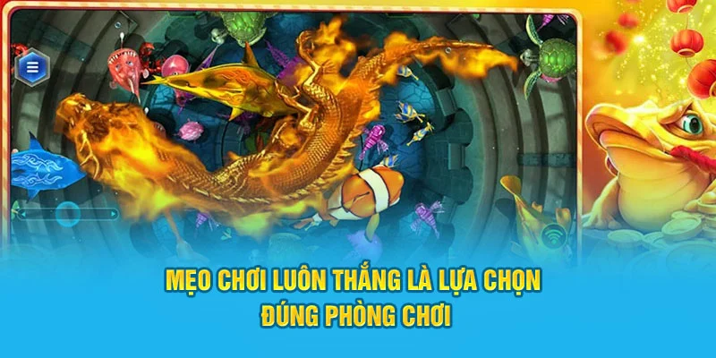Bắn Cá Ngũ Long - Khám Phá Đại Dương Sâu Thẳm, Nhận Ngàn Quà Tặng 3 Mẹo chơi luôn thắng là lựa chọn đúng phòng chơi